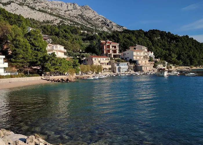 Stomarica * ברלה